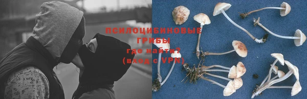 круглые Алзамай