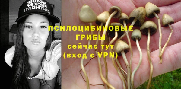 круглые Алзамай