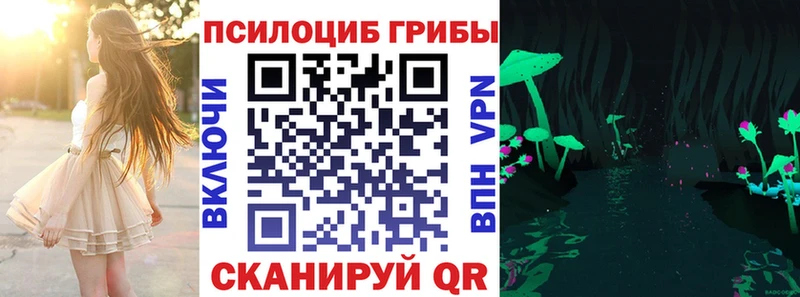 где купить   Самара  kraken сайт  Псилоцибиновые грибы прущие грибы 
